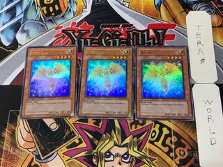 Korean version Hecatrice PP03 6 Ultra, set of 3 Tera