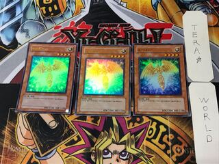 Korean version Hecatrice PP03 8 Ultra, set of 3 Tera