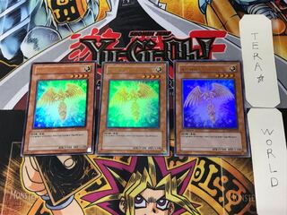 Korean version Hecatrice PP03 9 Ultra, set of 3 Tera