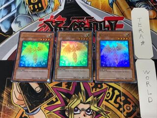 Korean version Hecatrice PP03 10 Ultra Set of 3 Tera