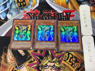 韓国版 ライオウ PP03 5 ウルトラ 3枚セット てら