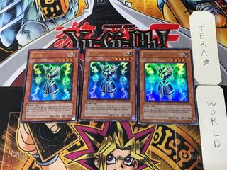 韓国版 ライオウ PP03 10 ウルトラ 3枚セット てら