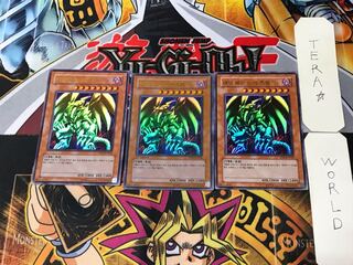 Korean version Red-Eyes Black Metal Dragon PP01 1 Ultra 3-card set Tera