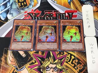 韓国版 黄金のホムンクルス PP04 5 ウルトラ 3枚セット てら