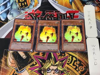 韓国版 黄金のホムンクルス PP04 6 ウルトラ 3枚セット てら