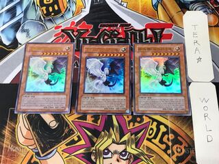 韓国版 光と闇の竜 PP03 1 ウルトラ 3枚セット てら