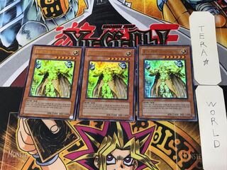 韓国版 光帝クライス PP03 2 ウルトラ 3枚セット てら