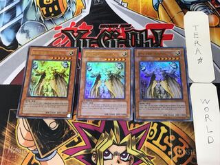 韓国版 光帝クライス PP03 10 ウルトラ 3枚セット てら