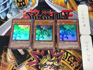 韓国版 青氷の白夜龍 PP03 3 ウルトラ 3枚セット てら