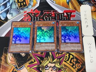 韓国版 青氷の白夜龍 PP03 4 ウルトラ 3枚セット てら