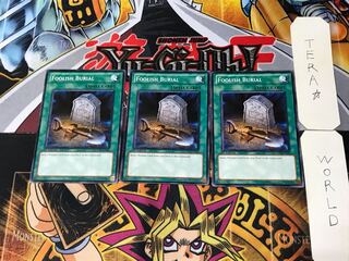 English Foolish Burial SDMA 2 Normal, set of 3 Tera.