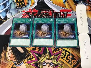 English Foolish Burial SDMA 4 Normal 3-card set Tera