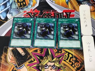 English Tri-Wight PHSW 2 Normal, set of 3 Tera.