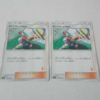むしとりしょうねん 2枚 ライチュウマーク入り ファミリーポケモン