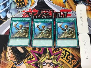 English Reinforcements SDWA 1 Normal, set of 3 Tera.