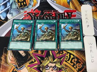 English Reinforcements SDWA 2 Normal, set of 3 Tera.