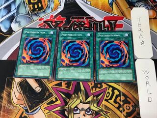 English Polymerization DPKB 1 Normal 3-card set Tera