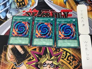 English Polymerization DPKB 2 Normal, set of 3 Tera.