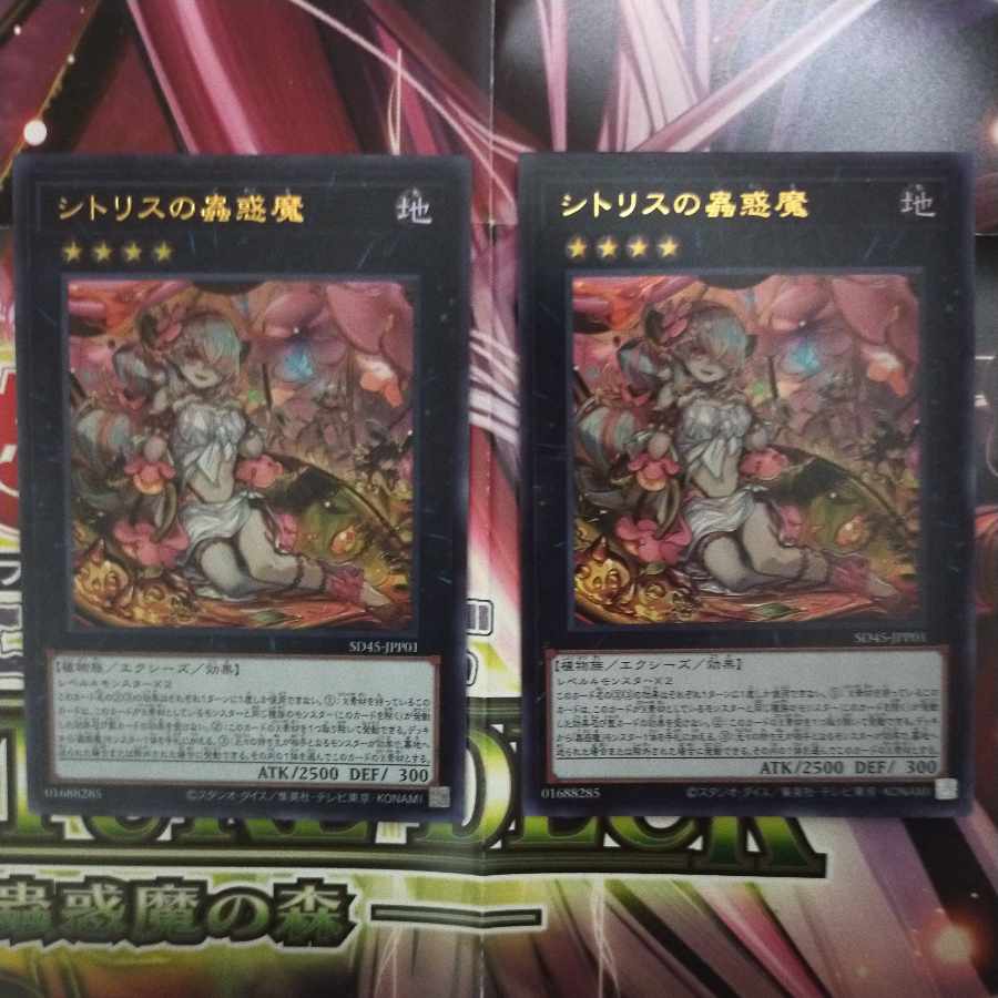 Sito Squirrel Insect Beguilement Ultra 2 pieces