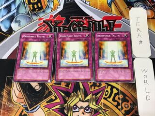 English Reinforce Truth DP09 1 Normal, set of 3 Tera.