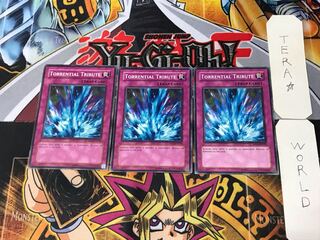 English Torrential Tribute RP02 1 Normal, set of 3 Tera.