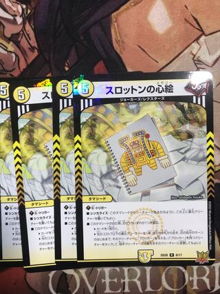 Slotton's heart picture R 11/76