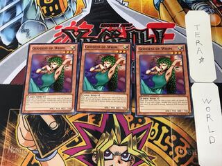 英語版 きまぐれの女神 LCYW 1 ノーマル 3枚セット てら