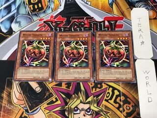 英語版 キラー・トマト DLG1 1 ノーマル 3枚セット てら