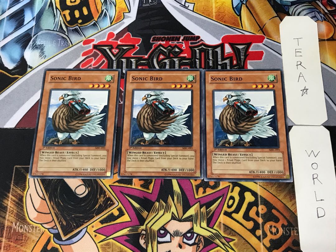 English Sonic Bird MRL 2 Normal, set of 3 Tera.
