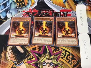 English Fire Conqueror Dragon - Burner LTGY 4 Normal Set of 3 Tera