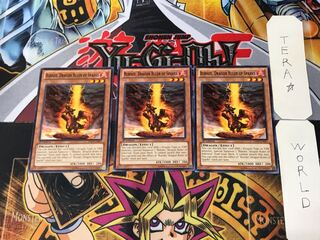 English Fire Conqueror Dragon - Burner LTGY 6 Normal Set of 3 Tera