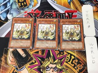 英語版 光霊使いライナ TSHD 1 ノーマル 3枚セット てら