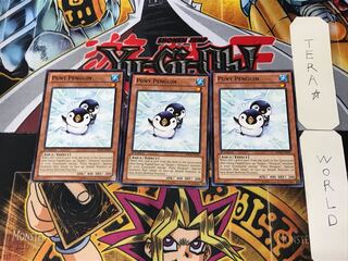 English Puny Penguin ABYR 1 Normal Set of 3 Tera