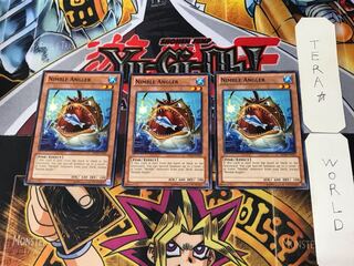 English Nimble Angler ABYR 1 Normal, set of 3 Tera.