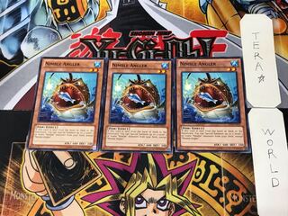 English Nimble Angler ABYR 2 Normal Set of 3 Tera