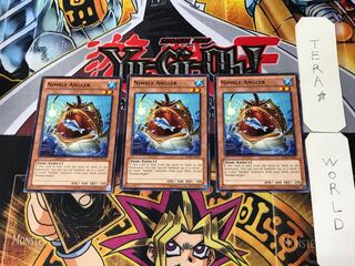 English Nimble Angler ABYR 4 Normal Set of 3 Tera