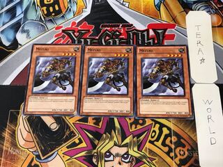 English Mezuki RYMP 1 Normal, set of 3 Tera.