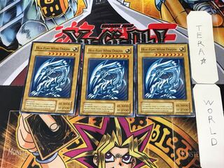 English Blue-Eyes White Dragon KA05 1 Normal, set of 3 Tera.