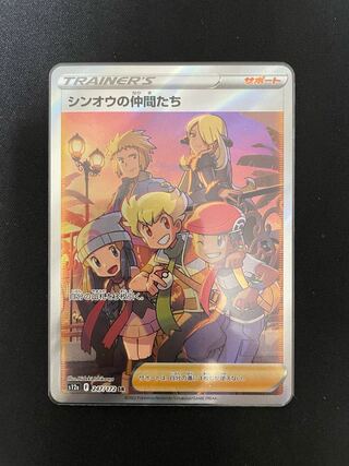 Shin-Oh's friends SR 247/172