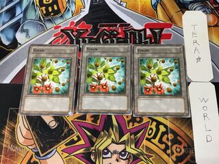 English Token TKN3-EN005 1 Normal, set of 3 Tera.