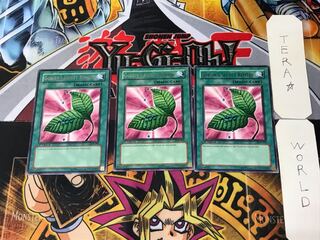 英語版 ゴブリンの秘薬 LOB 1 レア 3枚セット てら