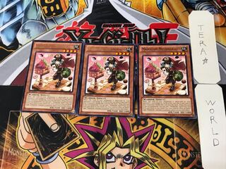 English Madolche Messengelato ABYR 3 Rare Set of 3 Tera