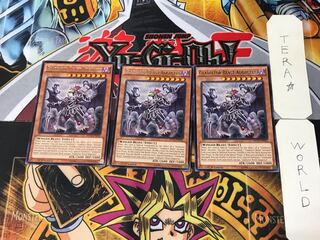 English Gladiator Beast Augustus MP15 1 rare, set of 3 Tera.