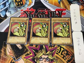 英語版 ハープの精 LOB 1 レア 3枚セット てら