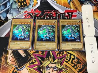 英語版 青眼の白龍 JMP 8 ウルトラ 3枚セット てら