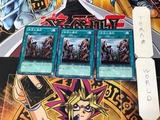 Painful Choice 2 Normal, set of 3 Tera