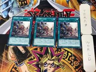 Disciples of the True Dracophoenix 3 Normal 3-card set Tera