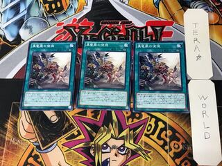 Disciples of the True Dracophoenix 9 Normal, set of 3 Tera.