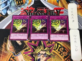 Junk Sleeve 1 Normal, set of 3 Tera.