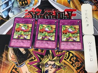 ポリノシス 1 ノーマル 3枚セット てら